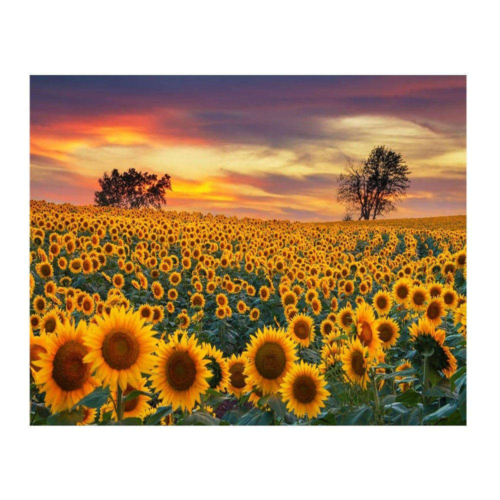 BloomArt – Puzzle 2000 Pièces Haute Qualité